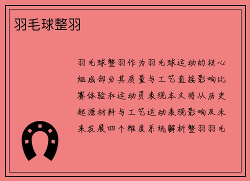 羽毛球整羽